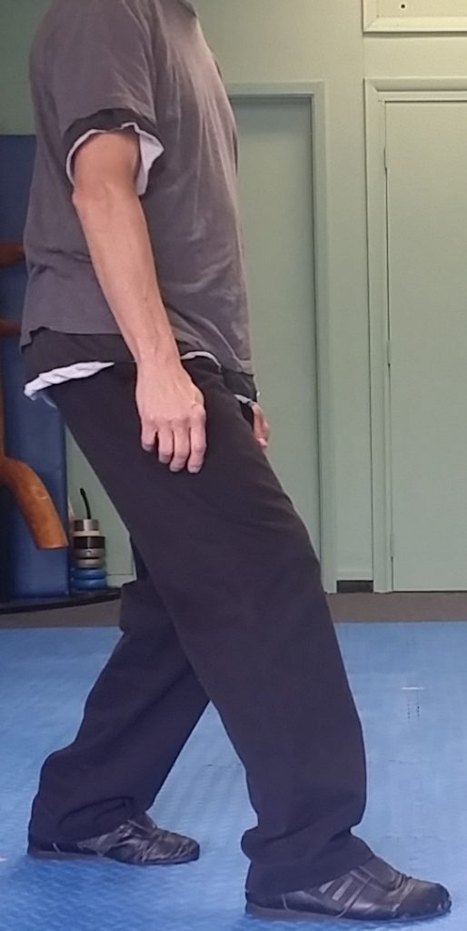 Bagua Footwork Dr. Wu's Institute of Martial Arts